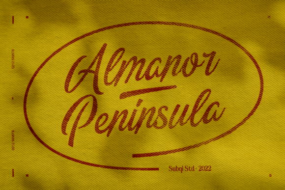 Almanor Peninsula: A Unique Display Font for Creative Branding