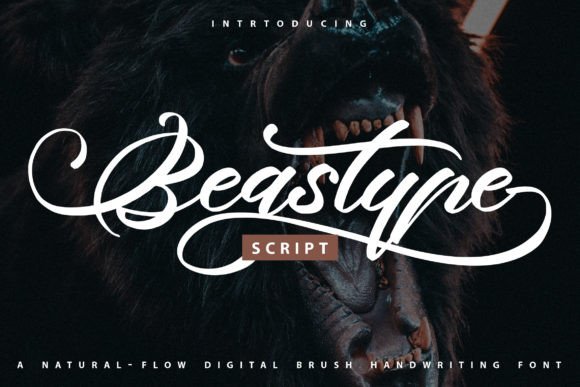 Beastype: A Modern Script Font for Digital Branding