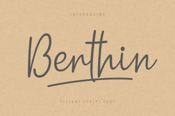 How Berthin Font Transformed My Brand's Visual Identity