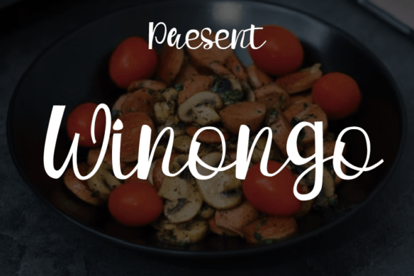 Winongo: A Modern Handwritten Font for Polished Branding